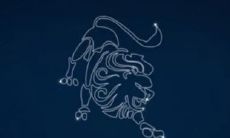 狮子座对某一特定人的爱情表现及其可能产生的改变