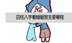 当四柱中有三柱相同的时候，你的命运究竟会如何？（What happens to your destiny when three out of four pillars are identical?）