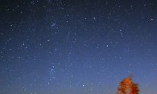 深度剖析属虎水瓶座男生的性格特点及个性行为模式