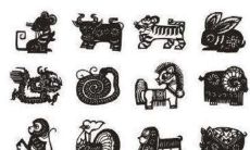 属牛的人应住在哪个楼层以促进财运？他们能否与属马的人共同创造财富？