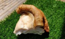 「在中国传统文化中，太岁包指的是一个装满各种象征吉祥的物品的包袱，包含哪些物品？为什么在农历年末传统上要准备太岁包？」