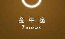2023年金牛座的吉星高照，哪个月份最为适宜？还有，2023年金牛座的全年运势如何？