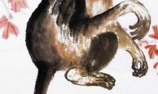 八字财星遭遇入墓，联手克妻如何破解？