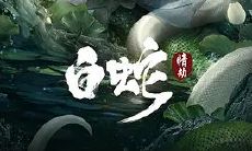 如何应对属鸡人在白蛇之轮回劫中的运势？