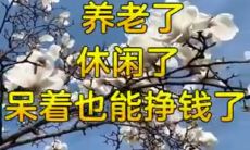 虎与猴相冲的含义是什么？它们是彼此相克还是相冲？