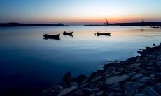 探究摩羯座人成长过程中的特征和品质：他们是否聪明出众？