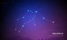 白羊座的颜值评估：可否给出具体得分？