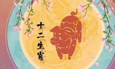 从属猪的年龄分布到属马的年龄统计表：详细排列属猪人的不同年龄，一目了然属马人的年龄分配情况