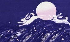 属兔男钟爱的女性类型：深入剖析属兔男喜好何种女性品质、气质及特质