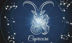 金牛座的生肖是什么？哪个生肖最适合金牛座？