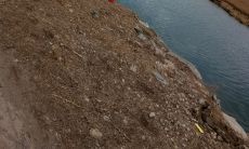 通过打扫卫生增强风水招财效应？选择正确的室内植物可大幅提高财运水平！