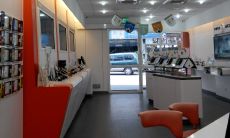 在家里放置哪些颜色和植物可以最大程度地助力财运？