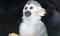 1996年出生的属鼠男士在购房时，应当优先考虑哪一层楼是最适合他的呢？