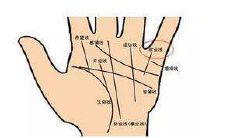 如何分辨自己的财运命格，理解个人财富状况及预测未来财运发展趋势？