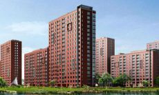 根据黄历，属蛇的人应该住在哪个楼层最合适？（What is the most suitable floor for people born in the Year of Snake according to Chinese calendar when choosing a place to live?）