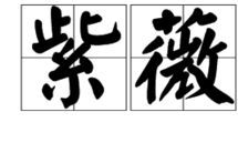 紫微星照耀：探寻身世和意义（以曾经是紫微星的身份为着眼点）