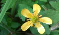 如何在不顺利的今年改变运势，走向好运旺盛（How to change your luck this year and turn things around for the better）