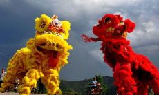 探究广东省醒狮仪式中的点睛开光仪式，并分享一张针对属相婚配的66年属马者宜嫁娶对象的表格