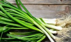 周公解梦梦见菜地里的小葱，是否与大葱有关系？