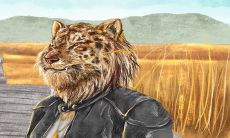 如何进行龙虎属相的匹配？探讨龙属相与虎属相的组合是否合适