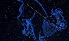 哪个星座最容易黑化？摩羯座的永久幸运色是什么，让我们一探究竟！