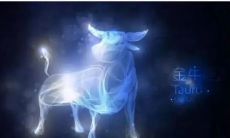 探究金牛座女生的爱好：她们钟爱哪些活动及娱乐方式？