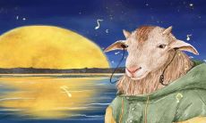 出生在哪个月的属羊最容易受到厄运和不利影响？