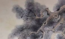 付费算命服务是否可靠：探讨神巴巴的占卜准确性和实用性