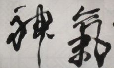 探究精气神与阴阳五行之间的关联及五行的阴阳对应关系