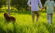 金牛座的冷漠是彻底的无情表现，暗示着TA已经不再爱某人（风险信号来袭：金牛座对某人开始疏远）