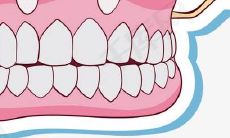 女性做梦时梦见全口牙齿掉光，并从手心再次长出这一奇特现象