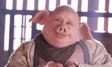 朝天鼻面相：它是否影响人的事业与生活？