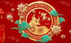 寻找1973年出生，属牛的人的桃花位是什么？（关于属牛人的桃花劫）