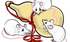 1984年出生的人，属于中国十二生肖中的鼠，他们的预期寿命是多少？