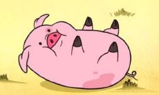 今年35岁女生的生肖是什么？