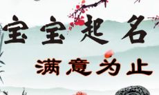 叶姓男孩该取什么名字？由张姓取名大全为您提供灵感！