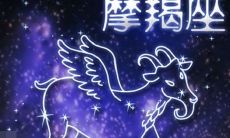 摩羯座男生喜欢的女生 - 探究摩羯座男生对什么样的女生有好感