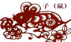 1984属鼠女性的本命年应佩戴什么？选择合适饰品，护身、招财双丰收！