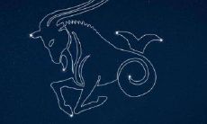 探究如何追求摩羯座的女孩：是否要主动出击，或者等待被动接纳，以及如何正确地展示自己的优点和个性？