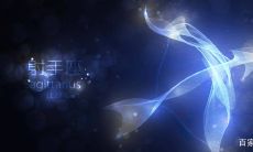 如何观察射手座心态变化，发掘他们不再热情的瞬间，揭示射手座喜欢你的迹象