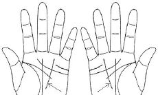 男性手相破解：成功线和财运线众多，大幅提升事业财富！