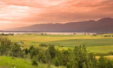 经验分享：如何通过八字看出事业格局的高低，揭示真正具备高格局的八字特征