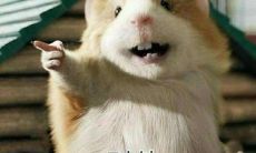 处女座女生是否倾向于与不感兴趣的人进行谈话？（以及不喜欢聊天的星座女生）