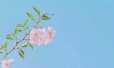 最近时常梦见自己怀孕数月，竟意外生育了（梦中虚实交错，令其惊讶的结果是现实中的确怀孕了）