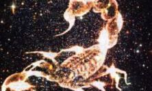 探寻天蝎座记仇的原因：究竟为什么天蝎座会成为最具怨恨心理的星座？