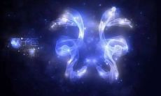 为什么金牛座和双子座的婚姻伴侣关系棘手？探究双子座在金牛座里的克星身份