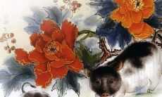 属龙的人到底是因为情商高还是智商高而显得懒惰呢？