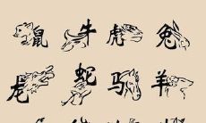 最准确的12生肖配对表查询：完整的生肖属相表附带详细解读