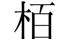 了解柏字取名的含义及为属牛的人推荐适合养的花种类