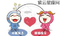 水瓶座和摩羯座的亲合度比较：他们是否是天生的佳侣？